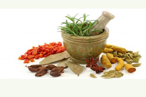 اولین جلسه مبلغین شهرستان اراک با مبحث طب سنتی و کرونا