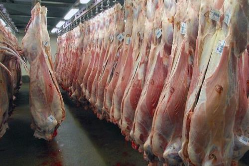 مراقب مسمومیت با گوشت های چرخی آلوده باشید