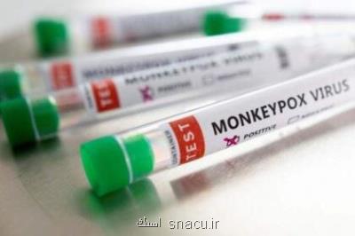 افزایش مبتلایان به آبله میمونی در انگلیس