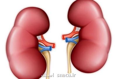 رژیم غذایی برای کمک به جلوگیری از تشکیل سنگ کلیه