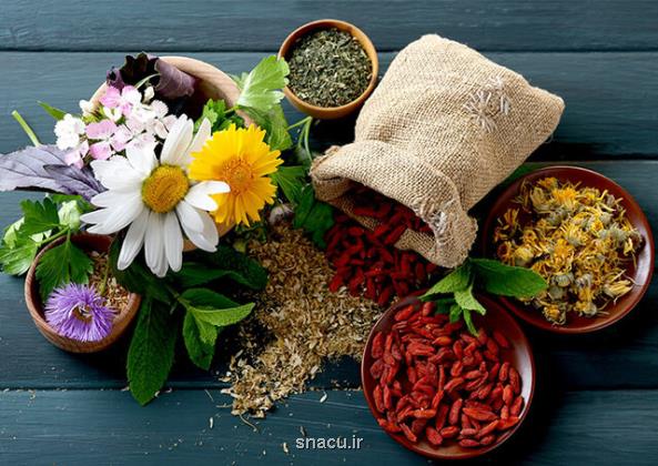 چند تصور اشتباه درباره ی داروهای گیاهی