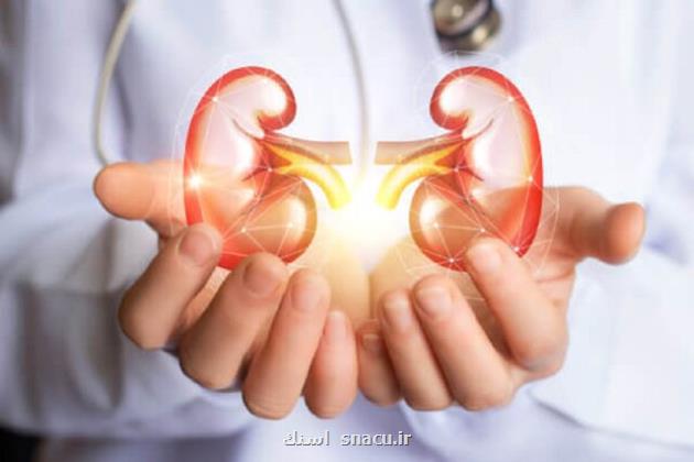 جزئیات خدمات تحت پوشش صندوق بیماریهای صعب العلاج برای بیماران کلیوی