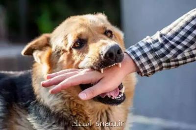مراجعه ۲۳ هزار نفر به سبب حیوان گزیدگی به مراکز پیش گیری از هاری در اصفهان