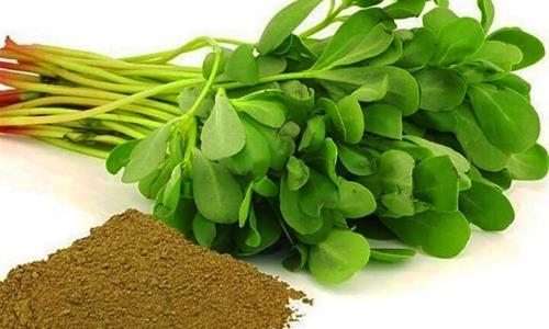 گیاهی که اختلال رشد کودک و اوتیسم را کاهش می دهد