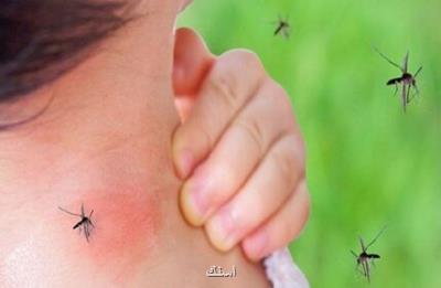 شناسایی 1094 دچار تب دانگ در کشور