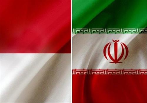 توسعه همکاریهای ایران و اندونزی در حوزه های درمانی و دارو