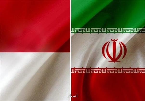 توسعه همکاریهای ایران و اندونزی در حوزه های درمانی و دارو