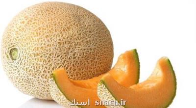 آیا ملون تراریخته و مضر برای سلامتی است؟