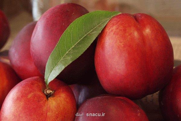 میوه ای برای سلامت چشم و پوست