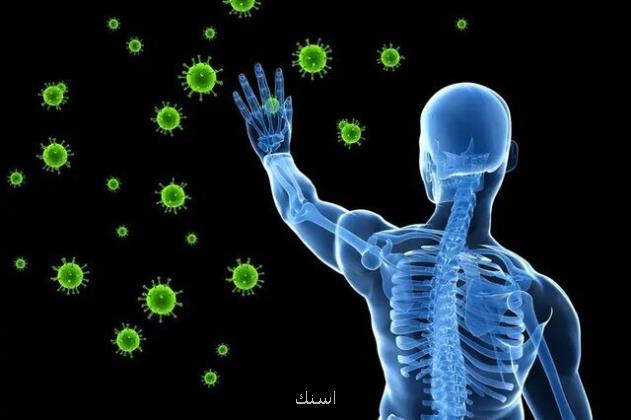 ویتامینی که سیستم ایمنی بدن را تقویت می کند