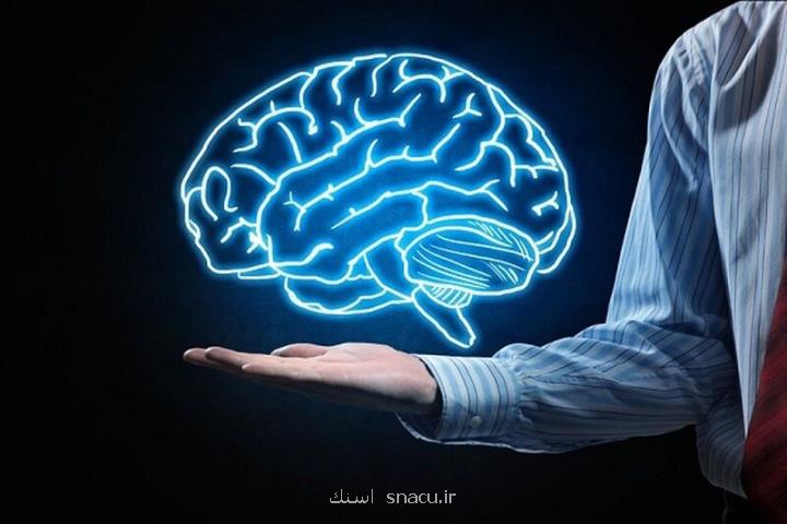 مغزتان را جوان نگه دارید مکمل هایی که جلوی زوال عقل را می گیرند