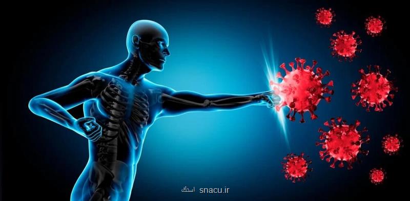با این مواد طبیعی، ویروس ها جرات نزدیک شدن ندارند