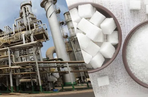پاسخ سازمان غذا و دارو به مراحل ساخت قند و شکر