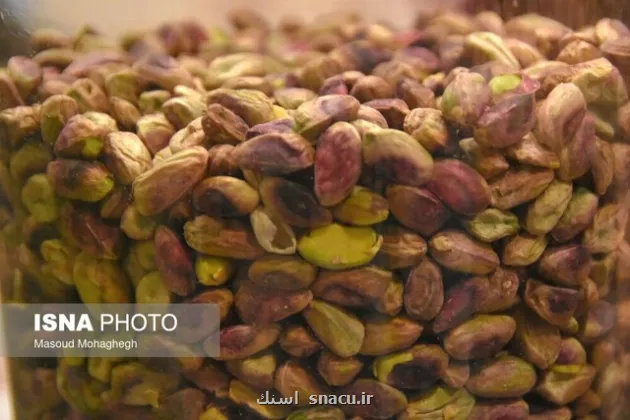 تاثیر مصرف پسته در شب بر میکروبیوم روده در مبتلایان پیش دیابت