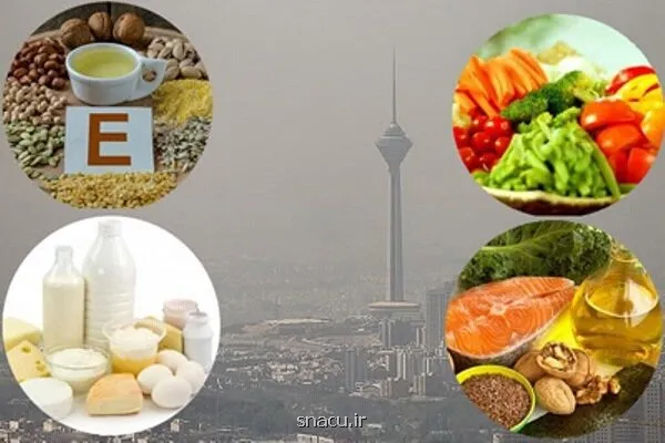 نجات ریه ها در هوای آلوده با نسخه طب ایرانی