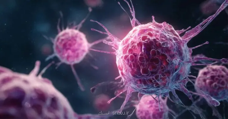 پیشبینی ۲ برابری مبتلاشدن به سرطان تا ۲۰۵۰