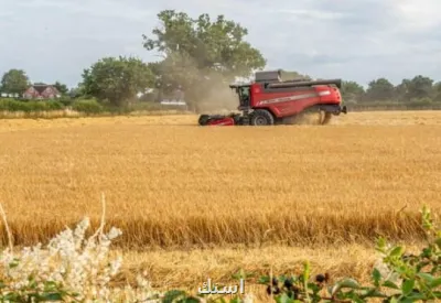 افزایش دی اکسید کربن در محیط زیست ارزش غذایی خوردنی ها را می کاهد