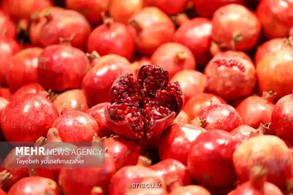 شب یلدا را هوشمندانه بگذرانیم نه پرخوری، نه حذف دورهمی