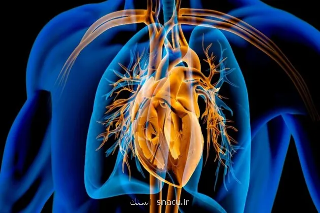 عفونت های درمان نشده در کودکی، تهدیدی برای دریچه های قلب در میانسالی