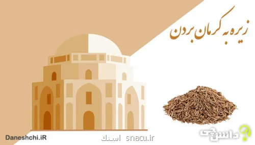 این دفعه اگر به کرمان سفر کردید، حتما به عنوان سوغات، زیره ببرید!