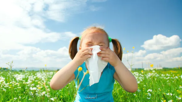 باکتری های روده امکان دارد کلید جلوگیری از آلرژی شدید بادام زمینی باشد