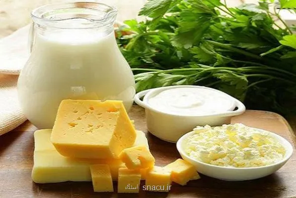 نگاه طب ایرانی به اثرات درمانی پروبیوتیک ها