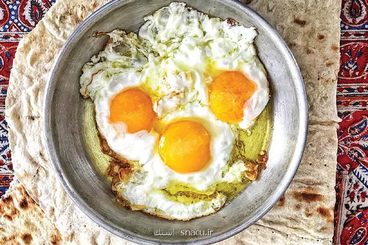 تخم مرغ برای قلب مفید می باشد یا مضر!