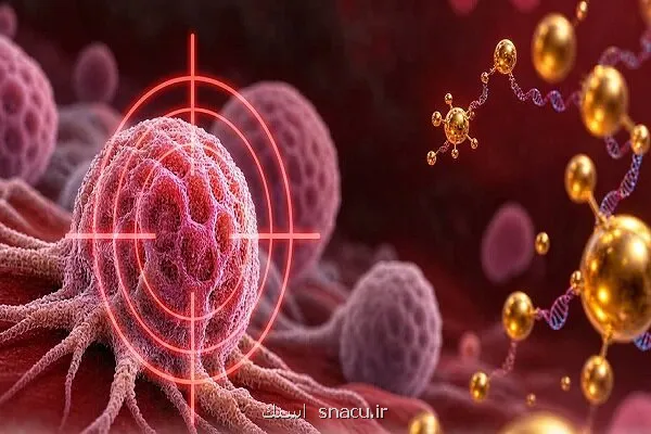تاثیر مکمل های آرژنین بر شناسایی سلول های سرطانی