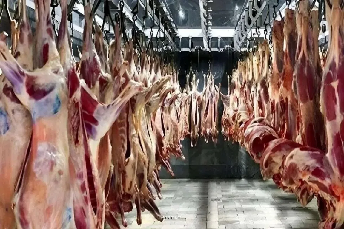 قیمت جهانی گوشت گوسفند