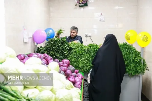 اعلام الزامات سبزی خوردن بسته بندی
