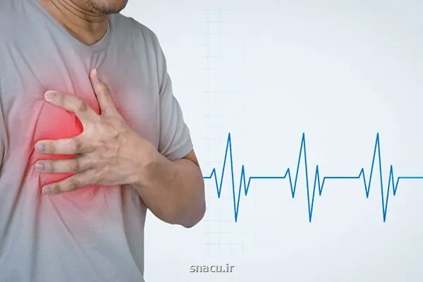 نقش چربی قهوه ای در سلامت قلب و روان
