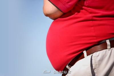 چاقی در میانسالی با احتمال بیشتر مبتلا شدن به زوال عقل مرتبط می باشد