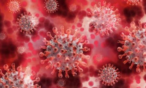 لزوم جامع نگری و پرهیز از نگاه تك بعدی به مدیریت اخبار كرونا