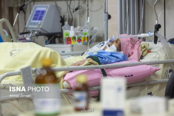 آمار فوتی های بوشهر از مرز 400 نفر گذشت