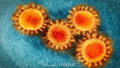 احتمال انتقال ویروس كووید ۱۹ بوسیله شیرمادر وجود ندارد