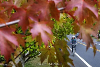 باید و نبایدهای فصل پاییز