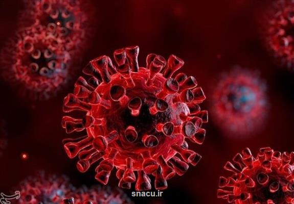 اعلام كانون های انتشار ویروس كرونا در كردستان