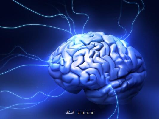 استرس در دوران حاملگی امكان دارد به مغز نوزاد متولد شده صدمه برساند