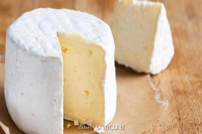 مصرف پنیر به كاهش زوال شناختی كمك می نماید